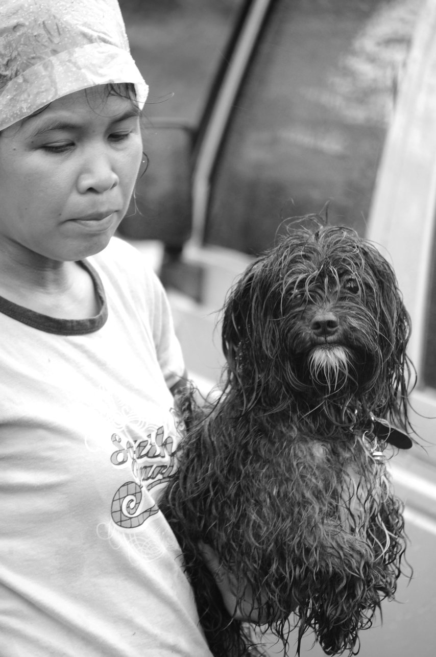 A woman taking care of a wet dog