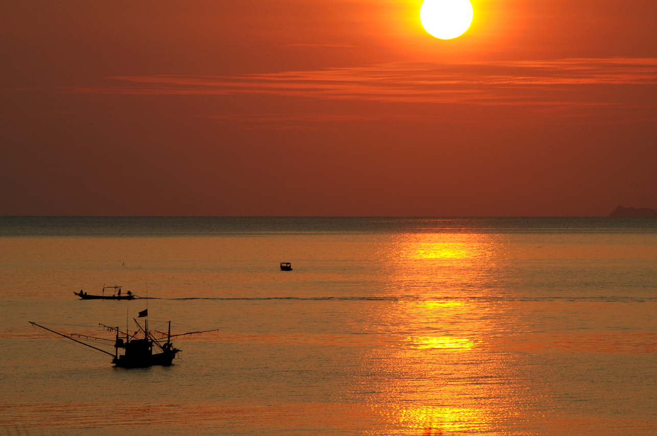Fishing boats near Koh Phangan