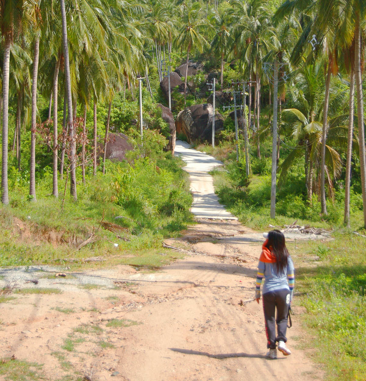 Aom promenerar bland kokospalmer på Koh Samui. Aom på en rask promenad bland Samuis kokospalmer.